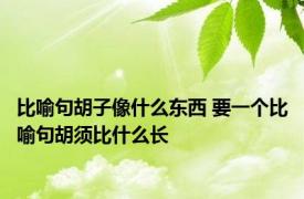 比喻句胡子像什么东西 要一个比喻句胡须比什么长