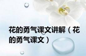 花的勇气课文讲解（花的勇气课文）