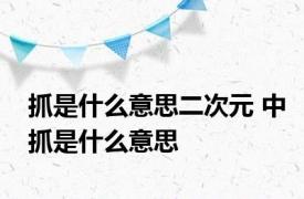 抓是什么意思二次元 中抓是什么意思