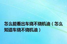 怎么能看出车烧不烧机油（怎么知道车烧不烧机油）