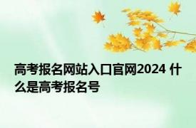 高考报名网站入口官网2024 什么是高考报名号