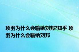 项羽为什么会输给刘邦?知乎 项羽为什么会输给刘邦