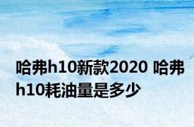 哈弗h10新款2020 哈弗h10耗油量是多少