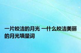 一片皎洁的月光 一什么皎洁美丽的月光填量词