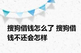 搜狗借钱怎么了 搜狗借钱不还会怎样