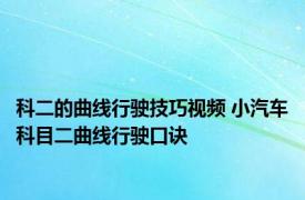 科二的曲线行驶技巧视频 小汽车科目二曲线行驶口诀