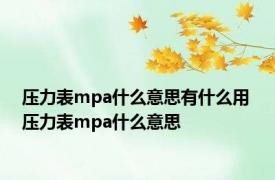 压力表mpa什么意思有什么用 压力表mpa什么意思