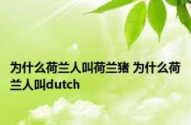 为什么荷兰人叫荷兰猪 为什么荷兰人叫dutch