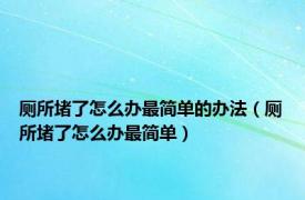 厕所堵了怎么办最简单的办法（厕所堵了怎么办最简单）