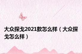 大众探戈2021款怎么样（大众探戈怎么样）