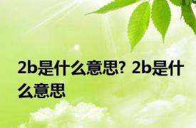 2b是什么意思? 2b是什么意思