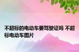 不超标的电动车要驾驶证吗 不超标电动车图片 