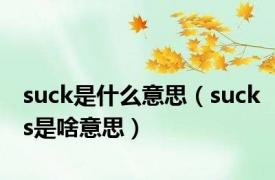 suck是什么意思（sucks是啥意思）