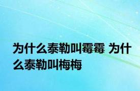 为什么泰勒叫霉霉 为什么泰勒叫梅梅