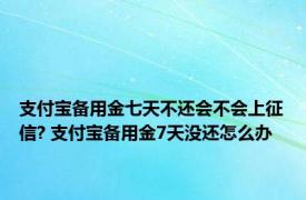 支付宝备用金七天不还会不会上征信? 支付宝备用金7天没还怎么办