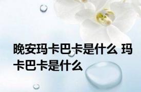 晚安玛卡巴卡是什么 玛卡巴卡是什么