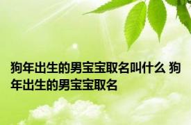 狗年出生的男宝宝取名叫什么 狗年出生的男宝宝取名 