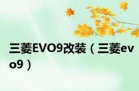 三菱EVO9改装（三菱evo9）