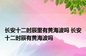 长安十二时辰里有黄海波吗 长安十二时辰有黄海波吗