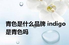 青色是什么品牌 indigo是青色吗