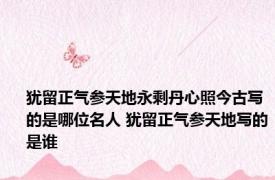 犹留正气参天地永剩丹心照今古写的是哪位名人 犹留正气参天地写的是谁