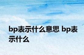 bp表示什么意思 bp表示什么