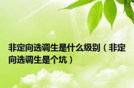 非定向选调生是什么级别（非定向选调生是个坑）