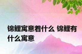 锦鲤寓意着什么 锦鲤有什么寓意