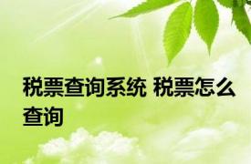 税票查询系统 税票怎么查询