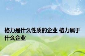 格力是什么性质的企业 格力属于什么企业