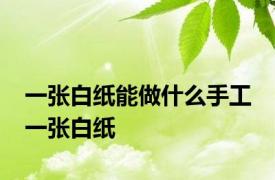 一张白纸能做什么手工 一张白纸 