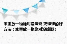 家里放一物绝对没蟑螂 灭蟑螂的好方法（家里放一物绝对没蟑螂）