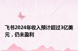 飞书2024年收入预计超过3亿美元，仍未盈利