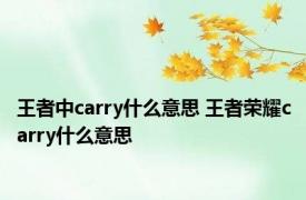 王者中carry什么意思 王者荣耀carry什么意思