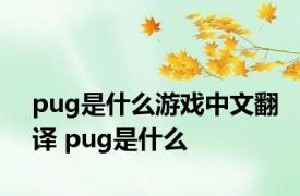 pug是什么游戏中文翻译 pug是什么