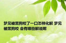 梦见被黑狗咬了一口怎样化解 梦见被黑狗咬 会有哪些解说呢