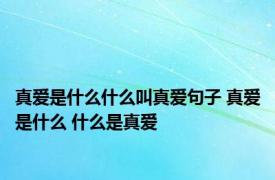 真爱是什么什么叫真爱句子 真爱是什么 什么是真爱