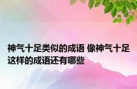 神气十足类似的成语 像神气十足这样的成语还有哪些