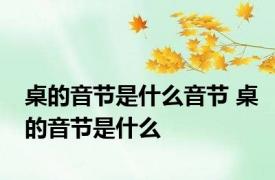 桌的音节是什么音节 桌的音节是什么