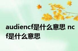 audiencf是什么意思 ncf是什么意思