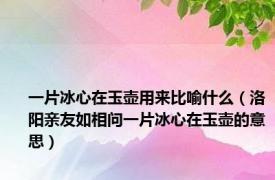 一片冰心在玉壶用来比喻什么（洛阳亲友如相问一片冰心在玉壶的意思）