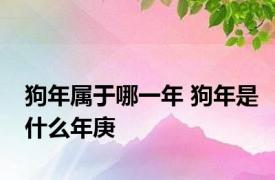 狗年属于哪一年 狗年是什么年庚