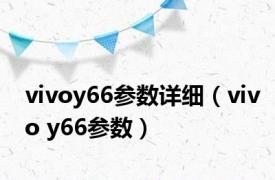 vivoy66参数详细（vivo y66参数）