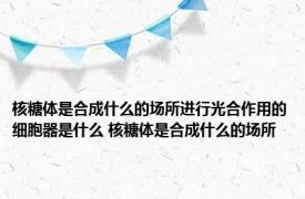 核糖体是合成什么的场所进行光合作用的细胞器是什么 核糖体是合成什么的场所