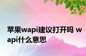 苹果wapi建议打开吗 wapi什么意思