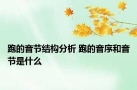 跑的音节结构分析 跑的音序和音节是什么