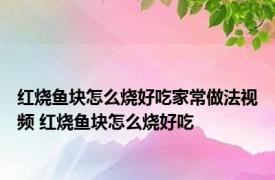 红烧鱼块怎么烧好吃家常做法视频 红烧鱼块怎么烧好吃