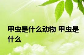 甲虫是什么动物 甲虫是什么