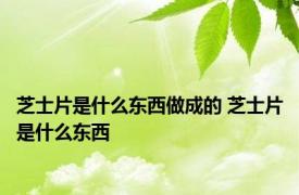 芝士片是什么东西做成的 芝士片是什么东西