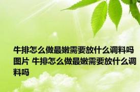 牛排怎么做最嫩需要放什么调料吗图片 牛排怎么做最嫩需要放什么调料吗